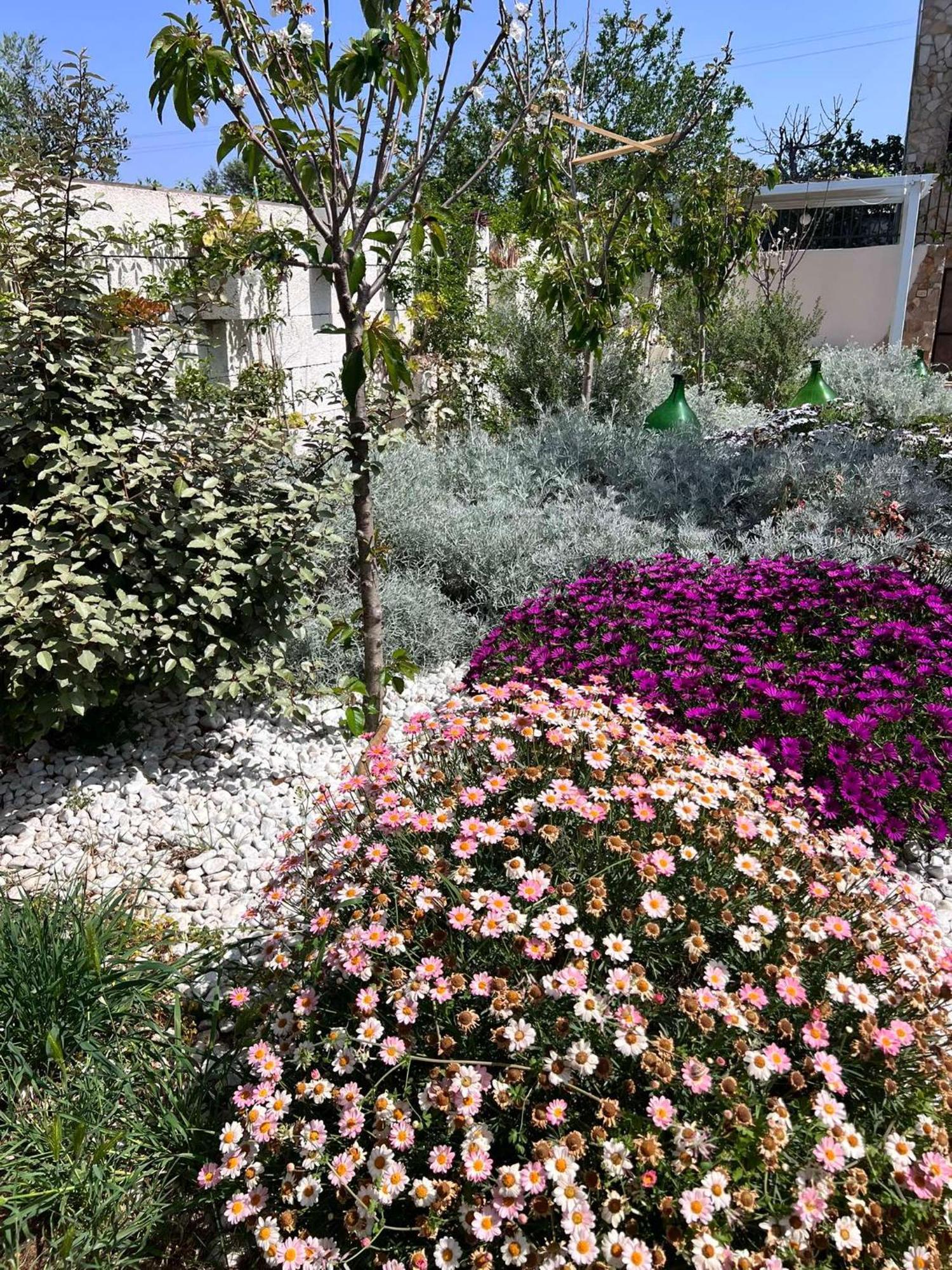 Villa Casa Vacanze Fiore Gallipoli Exterior photo