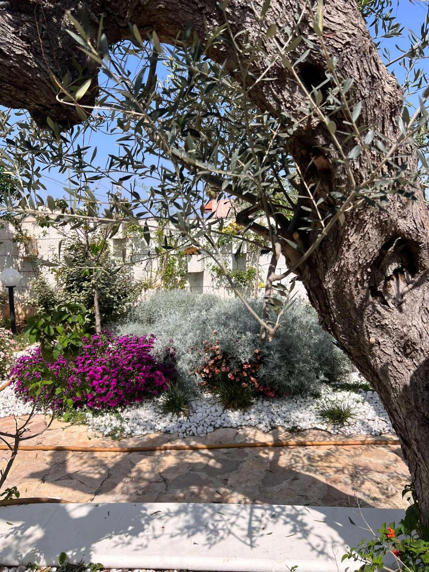 Villa Casa Vacanze Fiore Gallipoli Exterior photo