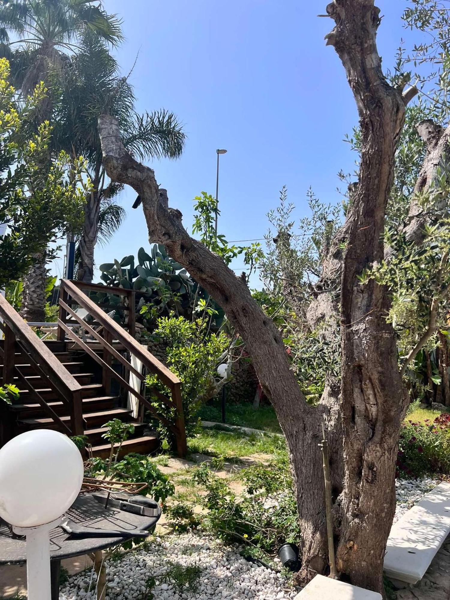 Villa Casa Vacanze Fiore Gallipoli Exterior photo